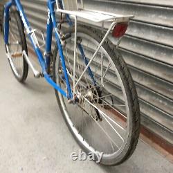 Single Track Trek Bicycle with Rear Bike Rack